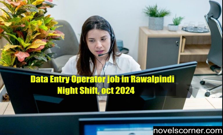 Data Entry Operator job in Rawalpindi (Night Shift) oct 2024