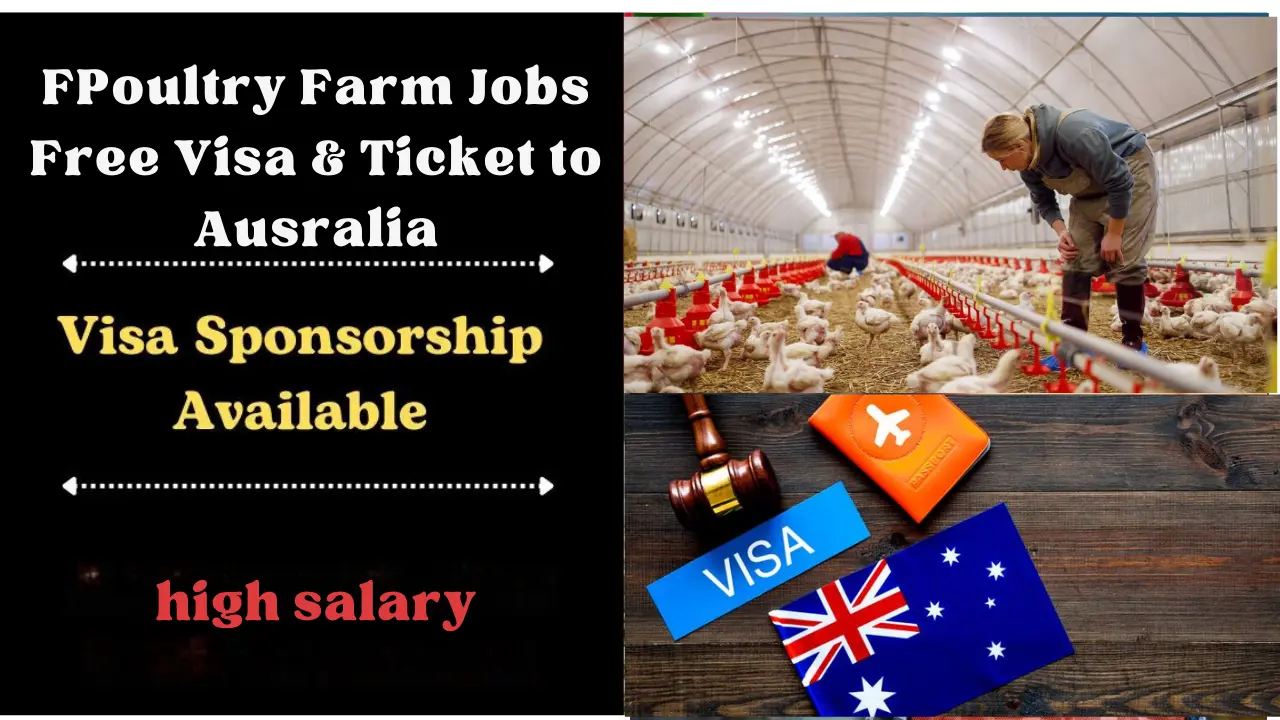 Poultry Farm Worker Job in Australia Free Visa Sponsorship (December 2024)