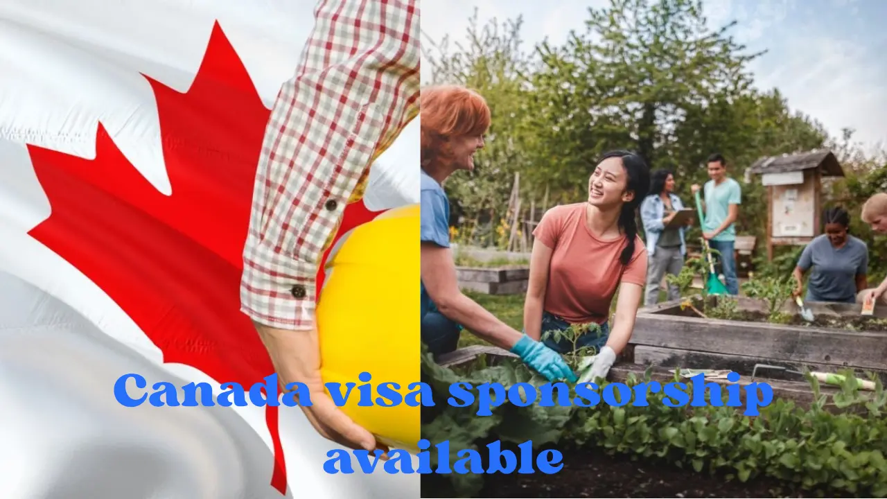 Canada Jobs for Foreigners with Visa Sponsorship 2025 – Apply Now
